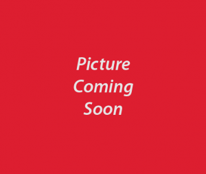 Rottweiler picture coming soon