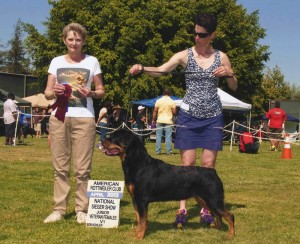 Moxie - V1 - ARC National Sieger Show