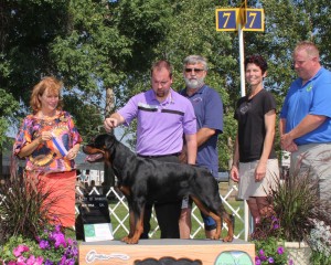 Takoda finishes her American Championship Takoda finishes her American Championship
