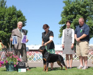 Takoda's specialty win with handler Holly Eldred Takoda's specialty win with handler Holly Eldred