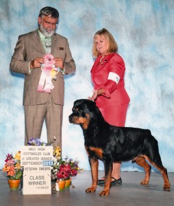 Rottweiler Zephyr Veteran class winner - Mile High Specialty