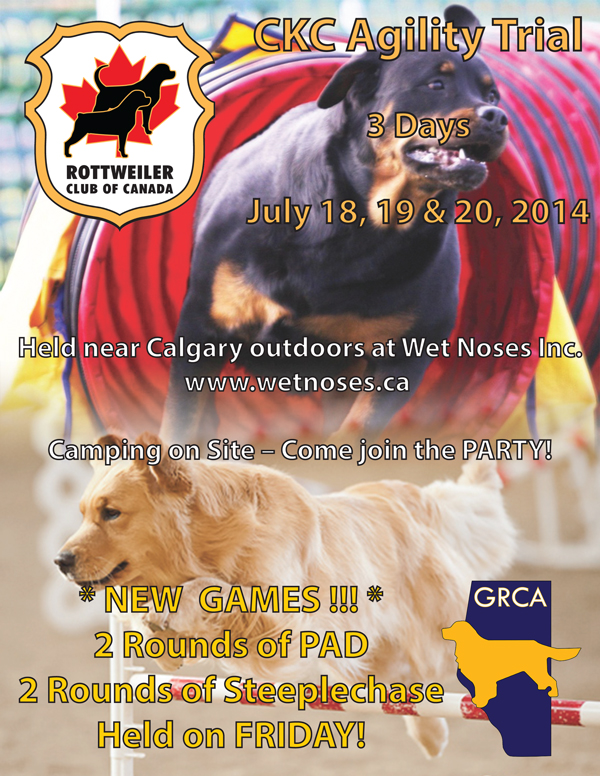 RCC-Agility-Trial---July-2014
