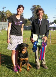 rottweiler Brita - earns her agility ch at 10 years young