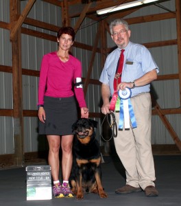 Rottweiler Veteran Sams earns a BN title