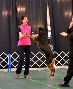 Athena Novice B ARC specialty Athena Novice B ARC specialty