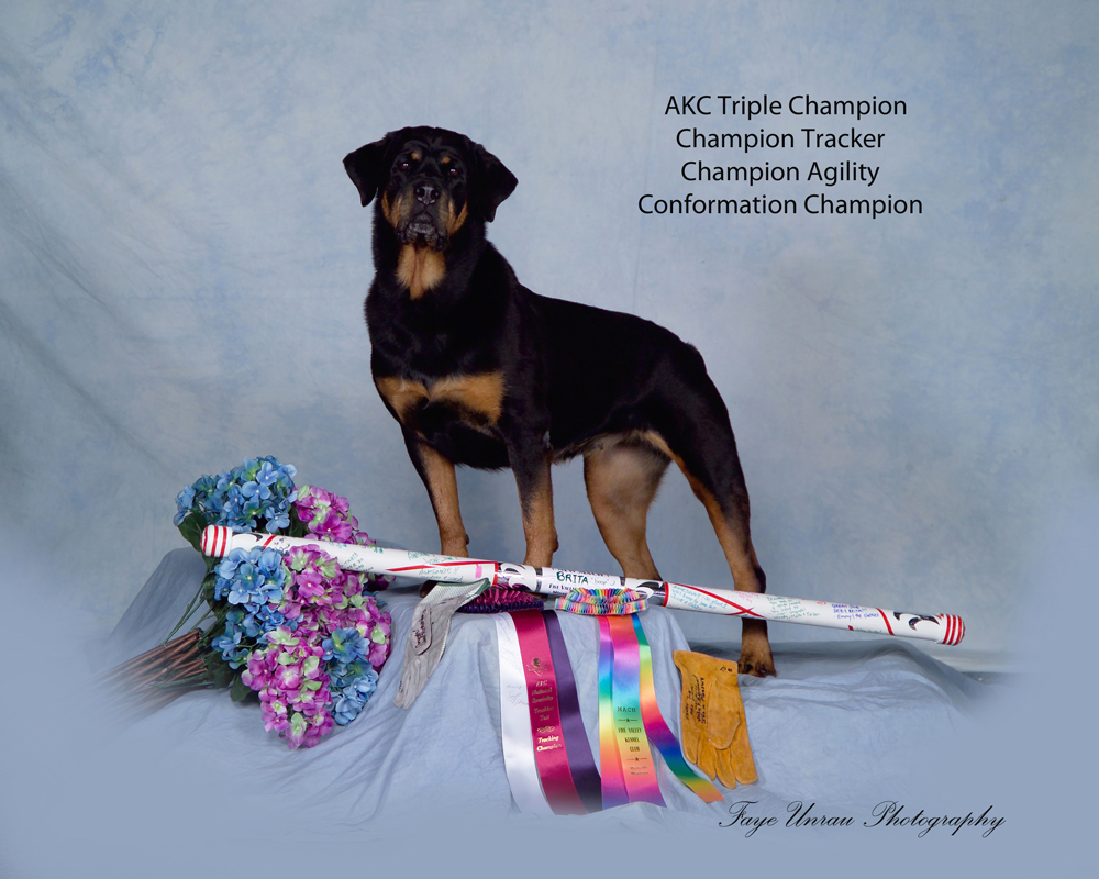 Rottweiler: Brita - Triple Champion Rottweiler: Brita - Triple Champion