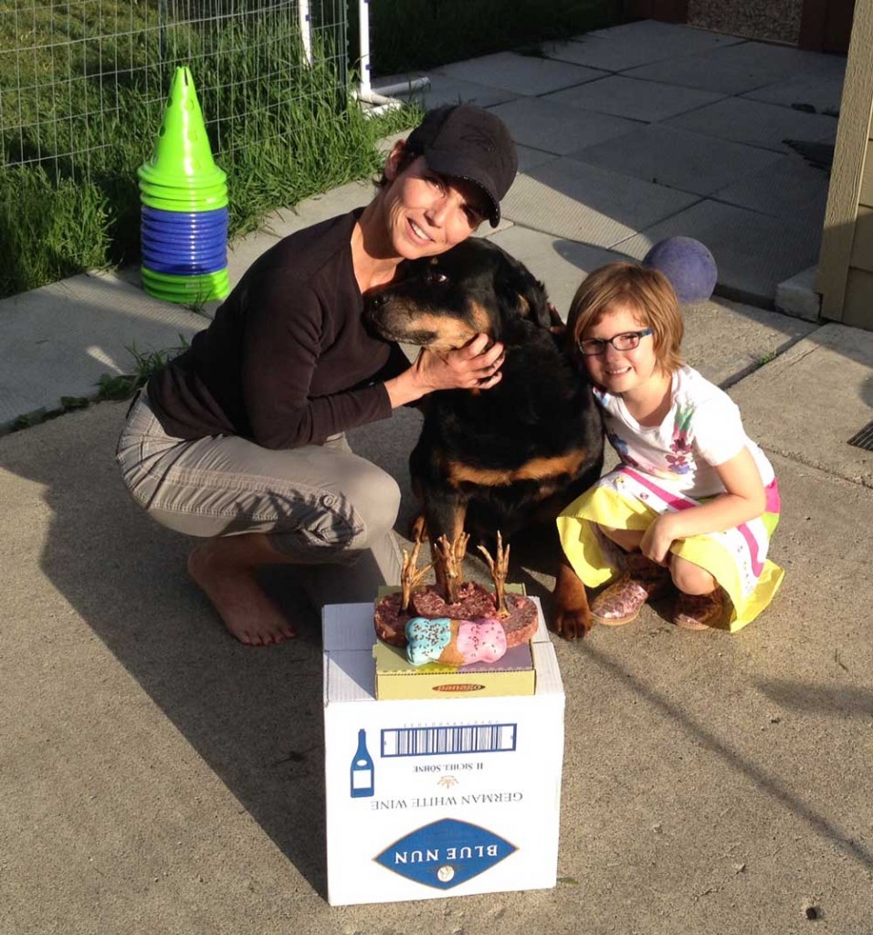 Rottweiler Veteran Sam celebrates his 13th Birthday