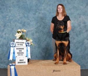 Isaac earns Rally Advanced at the Richmond Dog Fanciers Isaac earns Rally Advanced at the Richmond Dog Fanciers