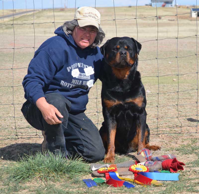 Rottweiler Gibbs