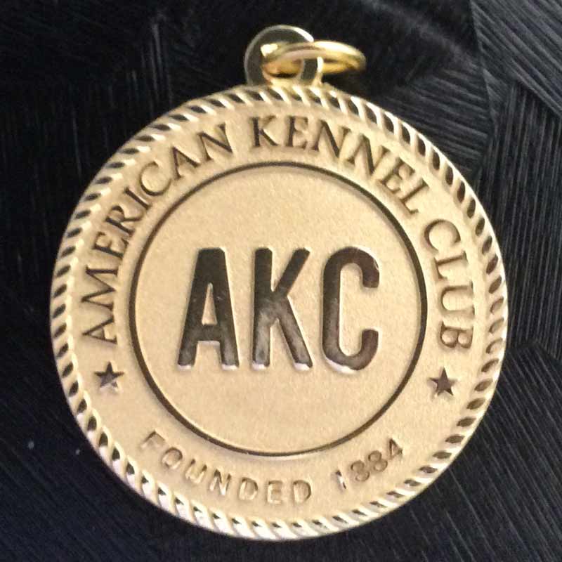 Outstanding Sportsman Award