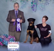 Rottweiler Maplemor’s Daughter of Zeus - Athena - earns her PCD