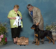Rottweiler - Ava earns puppy group and group 4