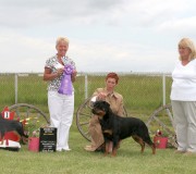 Rottweiler | Ava | earns Winners Bitch at RCC National Specialty 2009