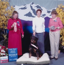Braun - Winner veteran sweepstakes - American Rottweiler Club National Specialty