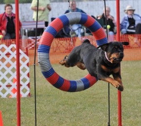 Brita takes the tire jump