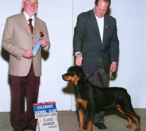 Rottweiler Brita show win