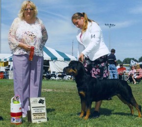 Rottweiler Brita show win