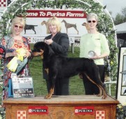 Rottweiler - Rottweiler Maplemor’s Brooklyn v Evrmor - places 3rd ARC specialty
