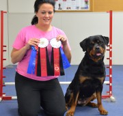 rottweiler - Vegas - Maplemor’s Dbl Down at Qkfire - earns her Novice Agility title
