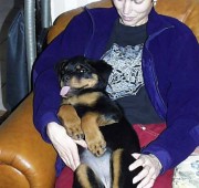 Rottweiler Puppy Quantum