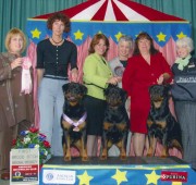 Quantum wins the brood bitch class at the ARC National Specialty