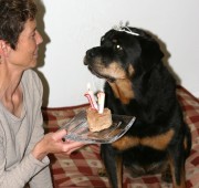 Quantum's eleventh birthday party