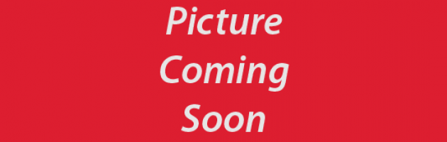 Rottweiler picture coming soon