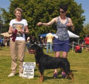 Moxie - V1 - ARC National Sieger Show