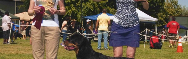 Moxie - V1 - ARC National Sieger Show