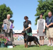 Takoda's specialty win with handler Holly Eldred