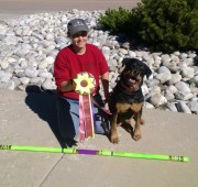 Rottweiler- Maggie--earns-her-MACH-5