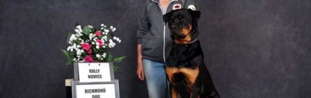 Rottweiler Isaac earns his Rally Novice