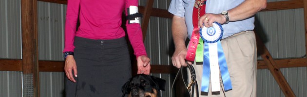 Rottweiler Veteran Sams earns a BN title