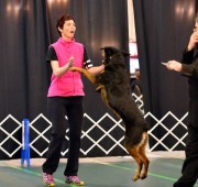 Athena Novice B ARC specialty