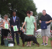 Rottweiler, Takoda, earns an Award of Merit at the NRC