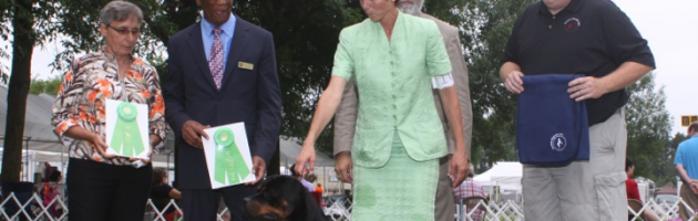 Rottweiler, Takoda, earns an Award of Merit at the NRC