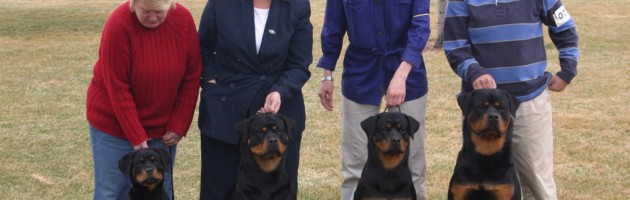 TBT - Rottweilers and handlers - vintage 2005