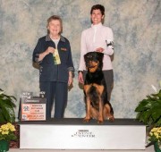 Rottweiler Athena earned her new AM Companion Dog Title