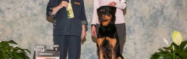Rottweiler Athena earned her new AM Companion Dog Title
