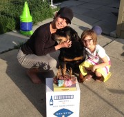 Rottweiler Veteran Sam celebrates his 13th Birthday