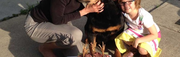 Rottweiler Veteran Sam celebrates his 13th Birthday