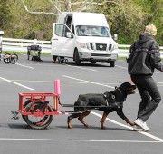 Takoda earning her CI Single Title