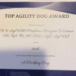 Rottweiler - Brita earns a Top Agility Dog award