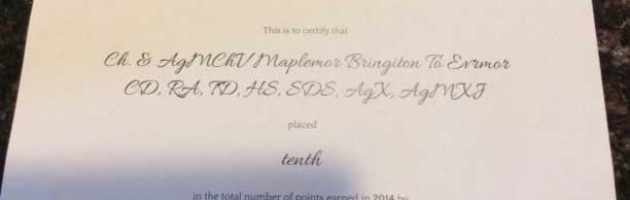Maplemors' Brita ( Bringiton to Evermor )
