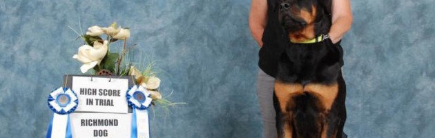 Isaac earns Rally Advanced at the Richmond Dog Fanciers