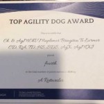 Rottweiler - Takoda earns a Top Agility Dog award
