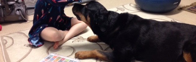 rottweiler veteran sam-and-bryanna