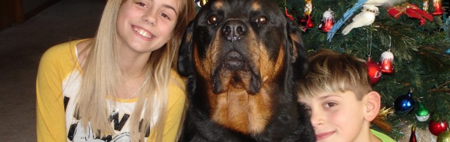 Rottweiler Troy and his 