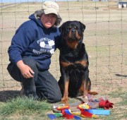 Rottweiler Gibbs earns a HIT in herding ducks