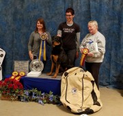 Athena takes a HIT in Agility at the ARC 2017 Nationals